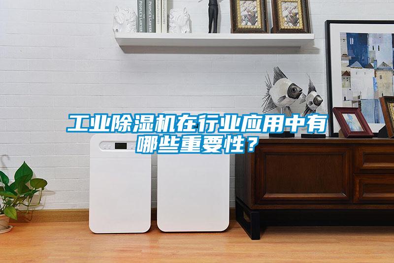 工業除濕機在行業應用中有哪些重要性？