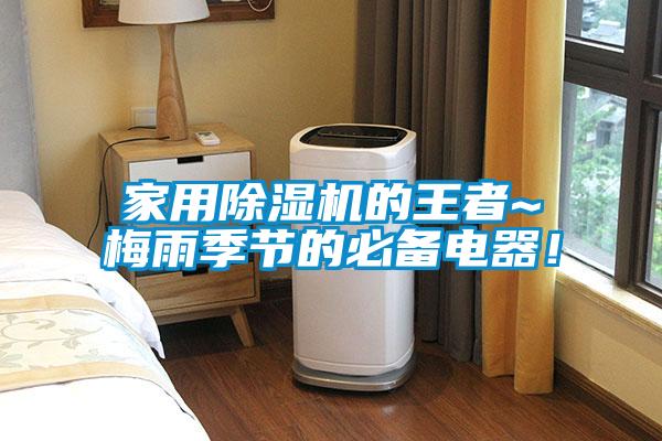 家用除濕機的王者~梅雨季節的必備電器！