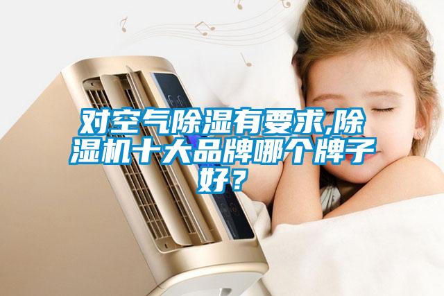 對空氣除濕有要求,除濕機十大品牌哪個牌子好？