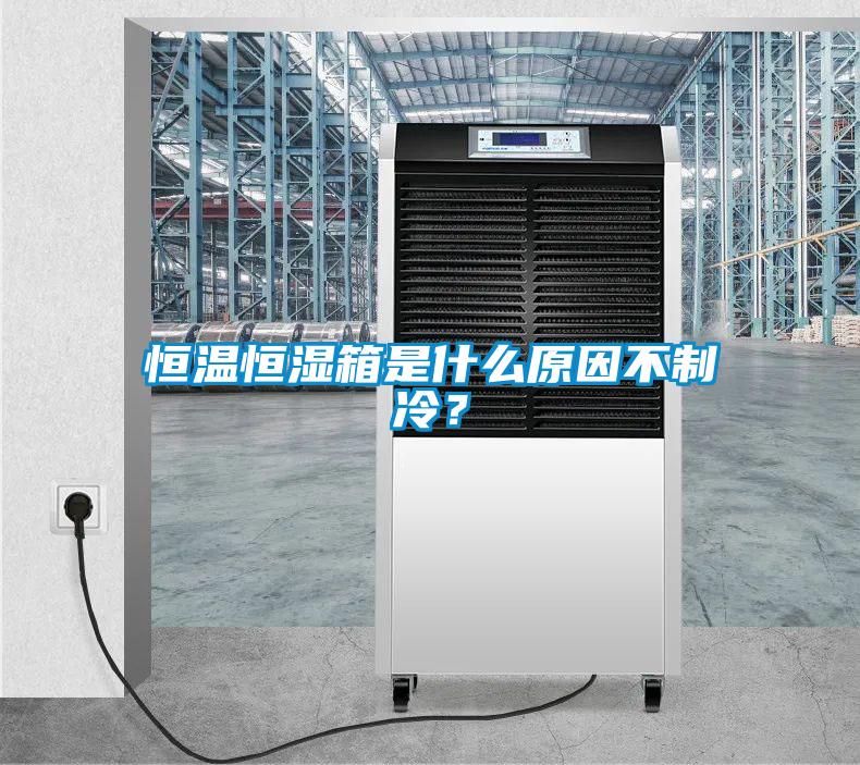 恒溫恒濕箱是什么原因不制冷？