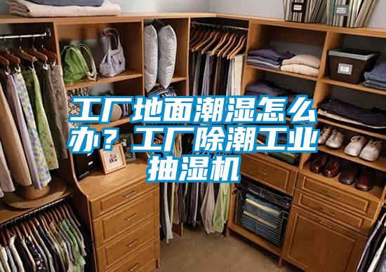 工廠地面潮濕怎么辦？工廠除潮工業抽濕機