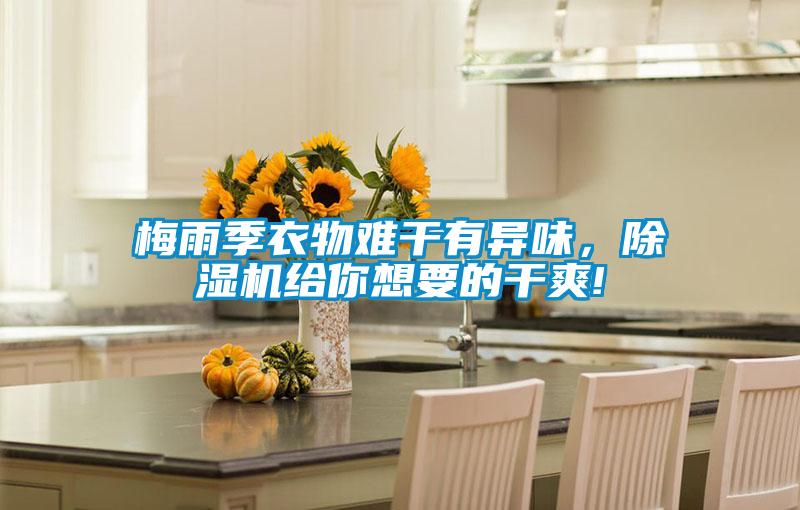 梅雨季衣物難干有異味，除濕機給你想要的干爽!