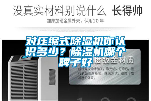 對壓縮式除濕機你認識多少？除濕機哪個牌子好