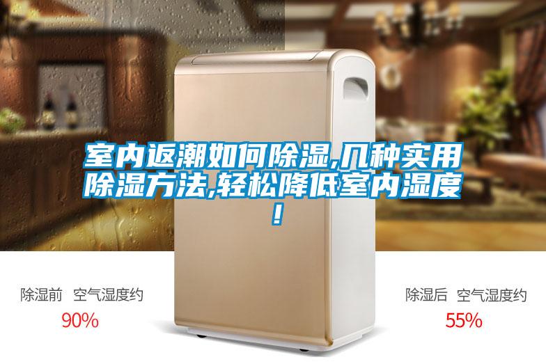 室內返潮如何除濕,幾種實用除濕方法,輕松降低室內濕度！