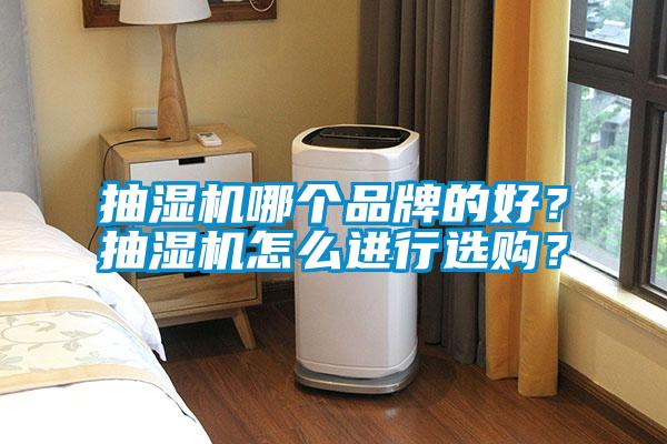 抽濕機哪個品牌的好？抽濕機怎么進行選購？