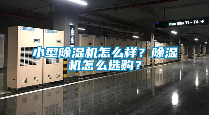 小型除濕機怎么樣？除濕機怎么選購？