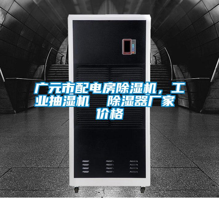 廣元市配電房除濕機，工業抽濕機  除濕器廠家 價格