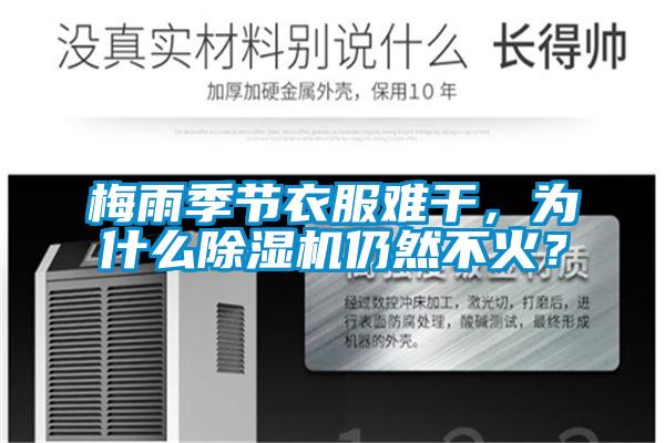 梅雨季節衣服難干，為什么除濕機仍然不火？
