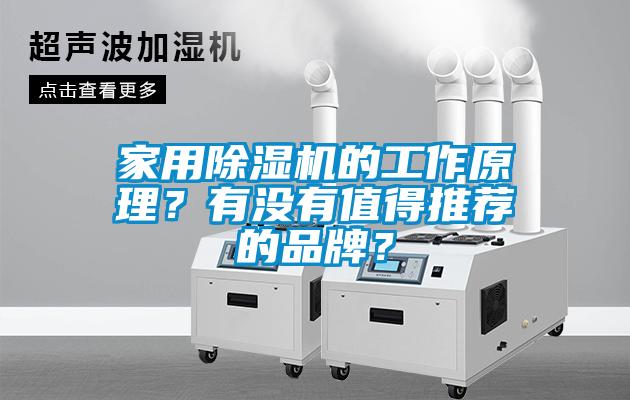 家用除濕機的工作原理？有沒有值得推薦的品牌？