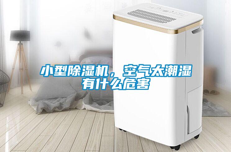 小型除濕機，空氣太潮濕有什么危害