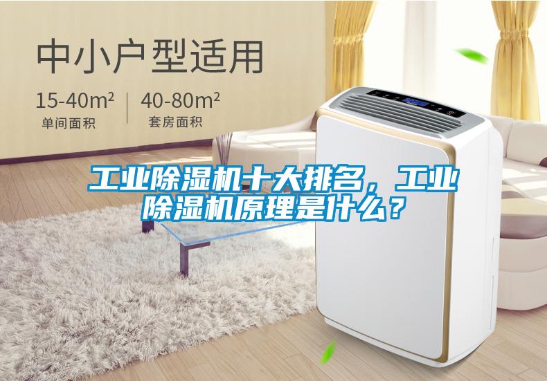 工業除濕機十大排名，工業除濕機原理是什么？