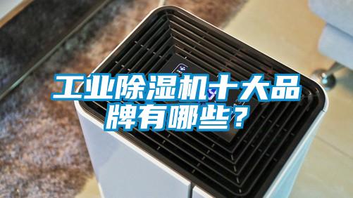 工業除濕機十大品牌有哪些？