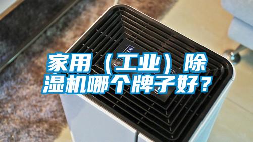家用（工業）除濕機哪個牌子好？