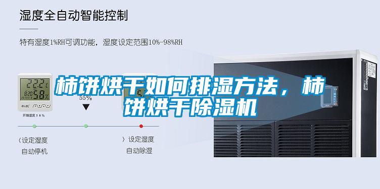 柿餅烘干如何排濕方法，柿餅烘干除濕機