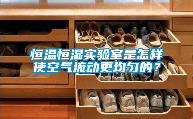 恒溫恒濕實驗室是怎樣使空氣流動更均勻的？