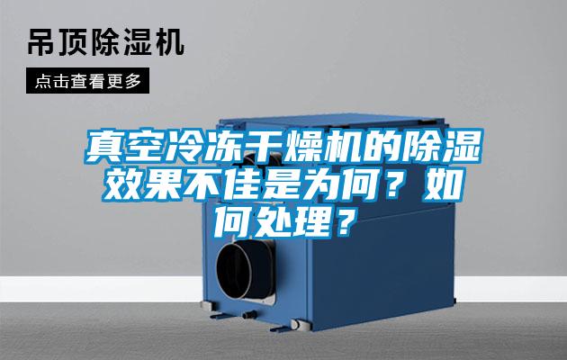 真空冷凍干燥機的除濕效果不佳是為何？如何處理？