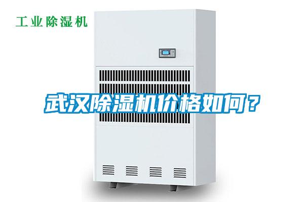 武漢除濕機價格如何？
