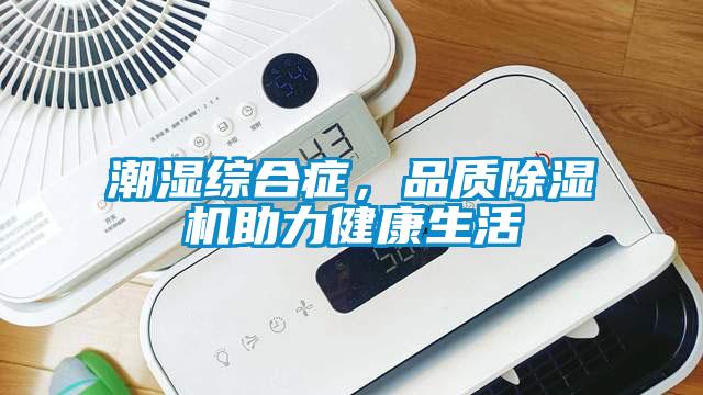 潮濕綜合癥，品質除濕機助力健康生活
