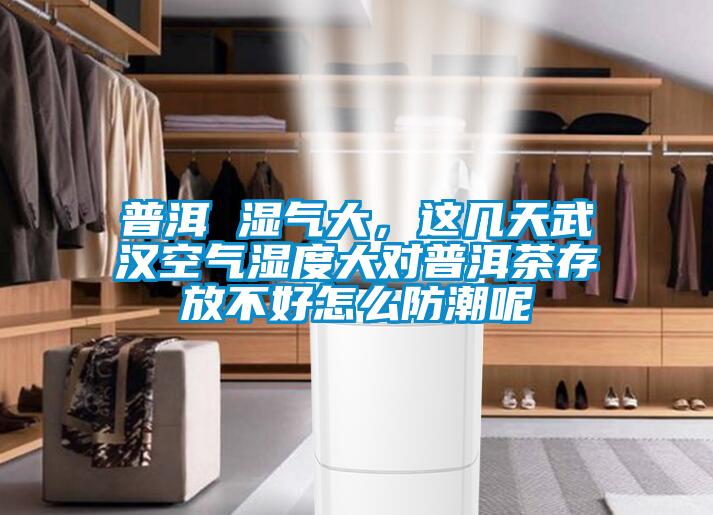 普洱 濕氣大，這幾天武漢空氣濕度大對普洱茶存放不好怎么防潮呢