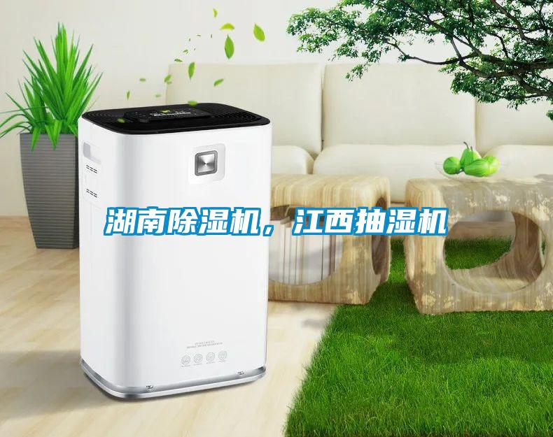 湖南除濕機，江西抽濕機