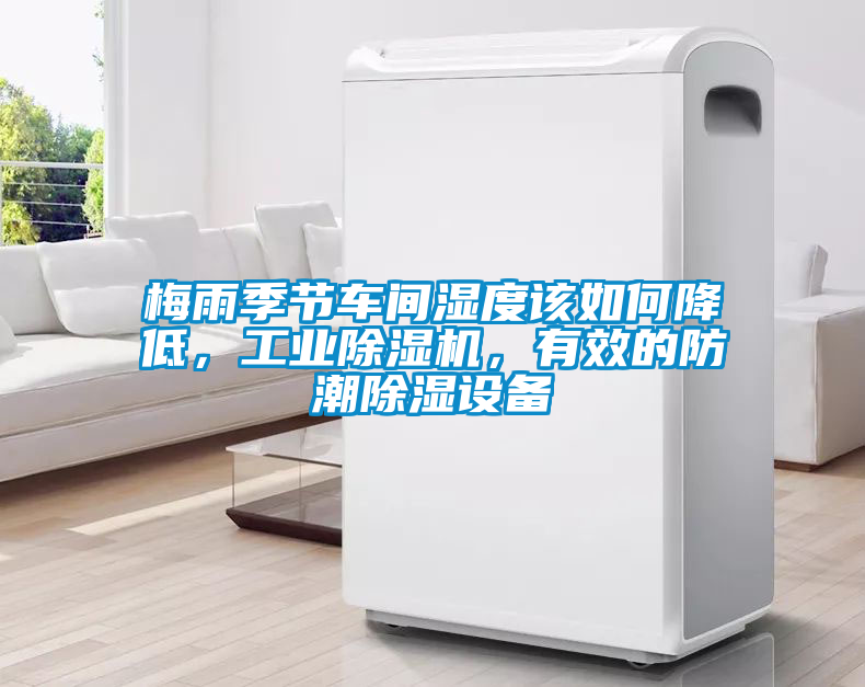 梅雨季節車間濕度該如何降低，工業除濕機，有效的防潮除濕設備