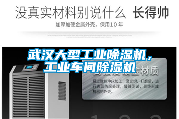 武漢大型工業除濕機，工業車間除濕機