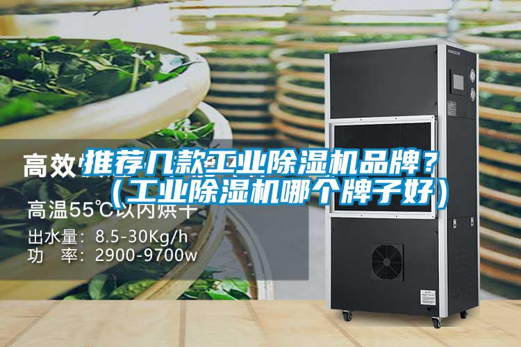 推薦幾款工業除濕機品牌？（工業除濕機哪個牌子好）