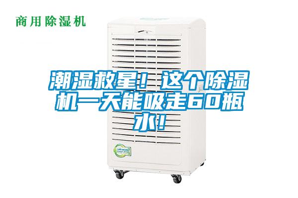 潮濕救星！這個除濕機一天能吸走60瓶水！