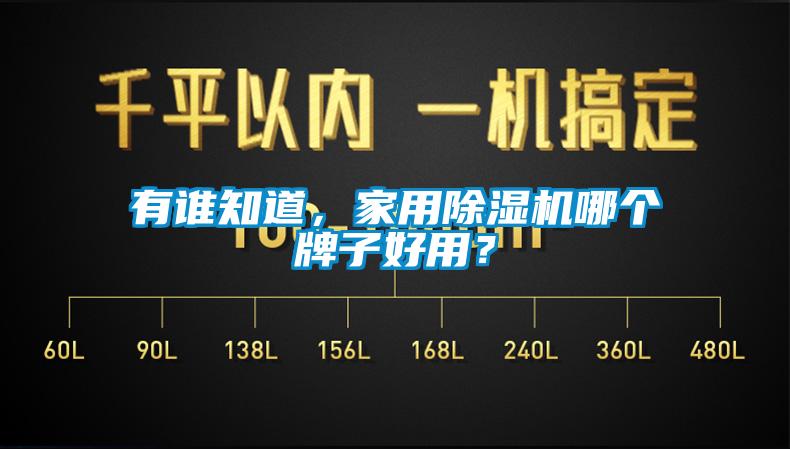 有誰知道，家用除濕機哪個牌子好用？