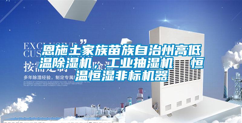 恩施土家族苗族自治州高低溫除濕機，工業抽濕機  恒溫恒濕非標機器