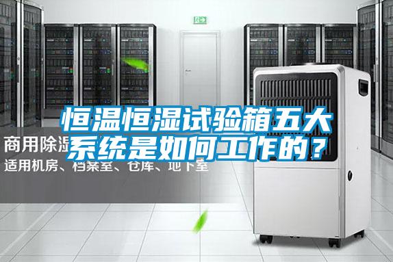 恒溫恒濕試驗箱五大系統是如何工作的？