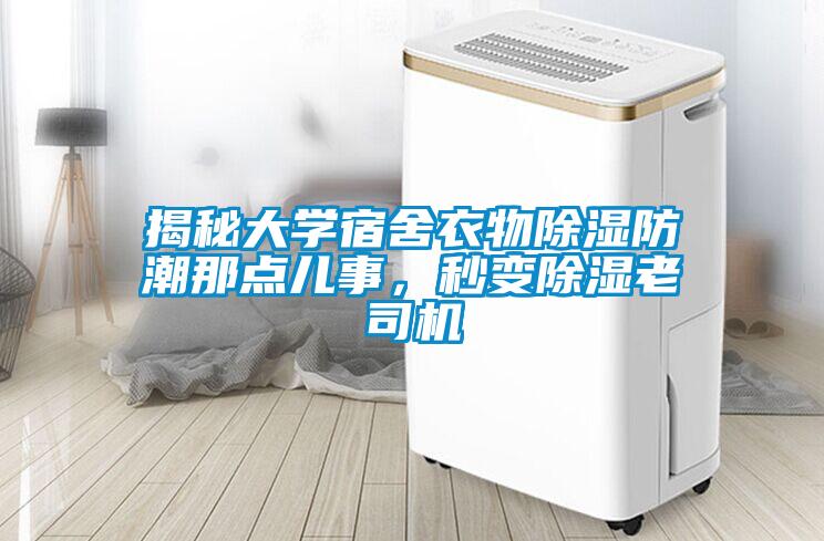 揭秘大學宿舍衣物除濕防潮那點兒事，秒變除濕老司機