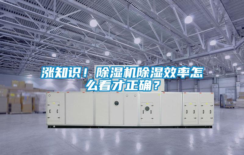 漲知識！除濕機除濕效率怎么看才正確？