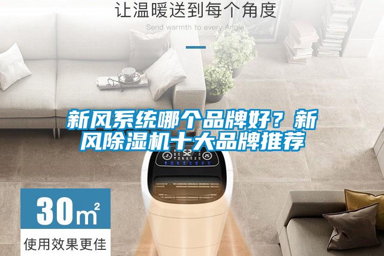 新風系統哪個品牌好？新風除濕機十大品牌推薦