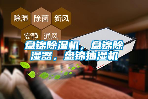 盤錦除濕機，盤錦除濕器，盤錦抽濕機