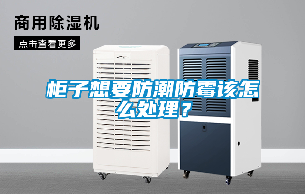 柜子想要防潮防霉該怎么處理？
