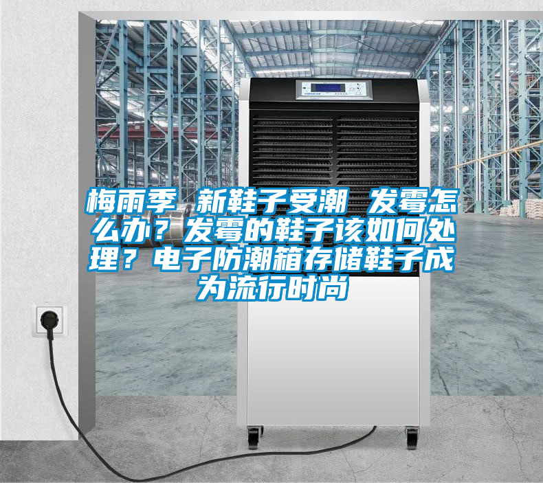 梅雨季 新鞋子受潮 發霉怎么辦？發霉的鞋子該如何處理？電子防潮箱存儲鞋子成為流行時尚