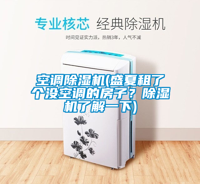 空調除濕機(盛夏租了個沒空調的房子？除濕機了解一下)