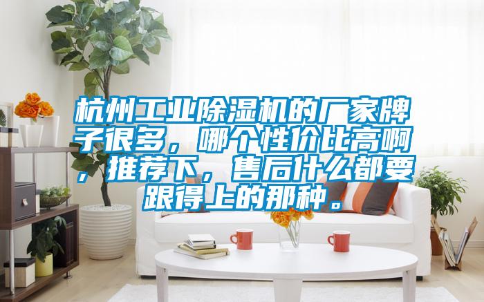 杭州工業除濕機的廠家牌子很多，哪個性價比高啊，推薦下，售后什么都要跟得上的那種。