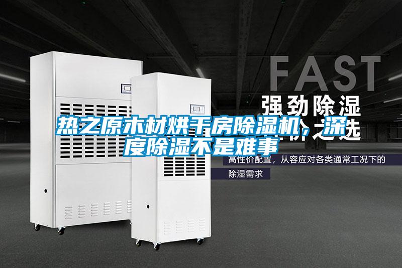 熱之原木材烘干房除濕機，深度除濕不是難事