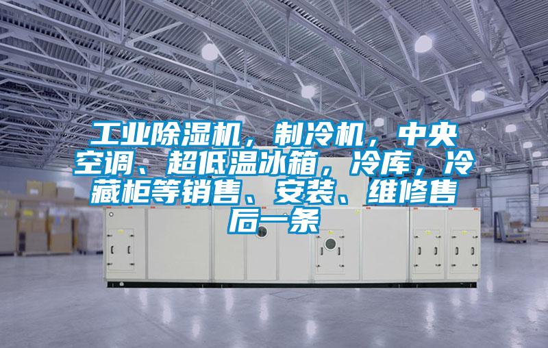 工業除濕機，制冷機，中央空調、超低溫冰箱，冷庫，冷藏柜等銷售、安裝、維修售后一條