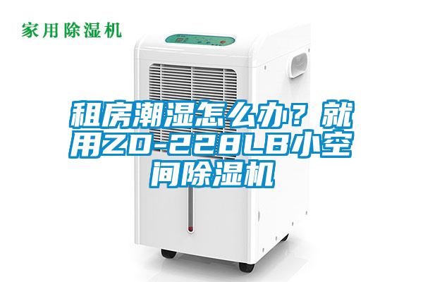租房潮濕怎么辦？就用ZD-228LB小空間除濕機