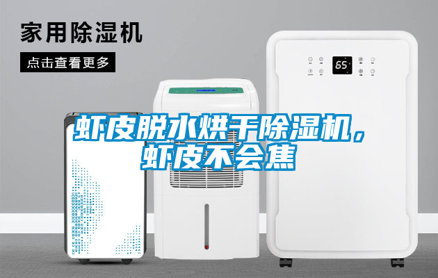 蝦皮脫水烘干除濕機，蝦皮不會焦