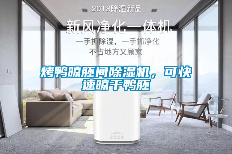 烤鴨晾胚間除濕機，可快速晾干鴨胚