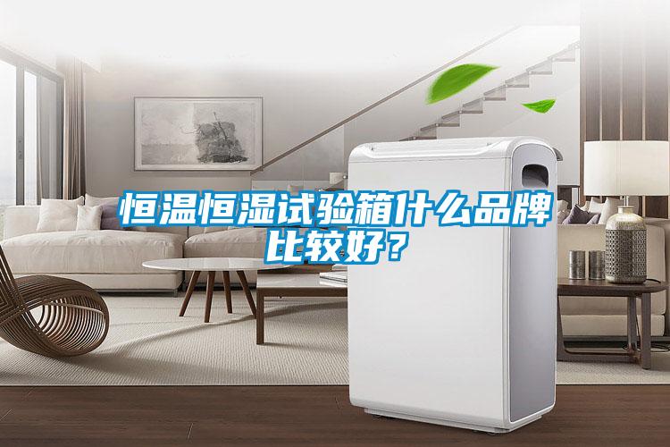 恒溫恒濕試驗箱什么品牌比較好？