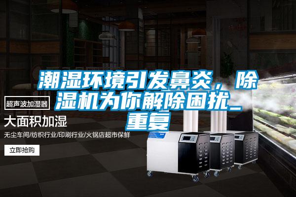 潮濕環境引發鼻炎，除濕機為你解除困擾_重復