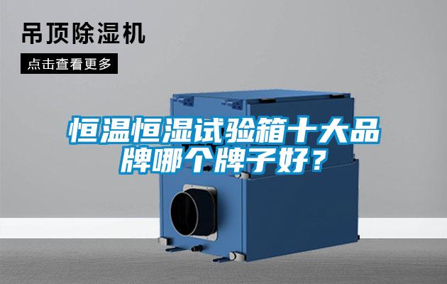 恒溫恒濕試驗箱十大品牌哪個牌子好？