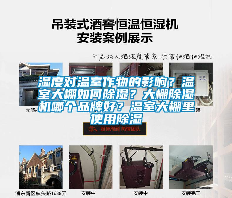 濕度對溫室作物的影響？溫室大棚如何除濕？大棚除濕機哪個品牌好？溫室大棚里使用除濕