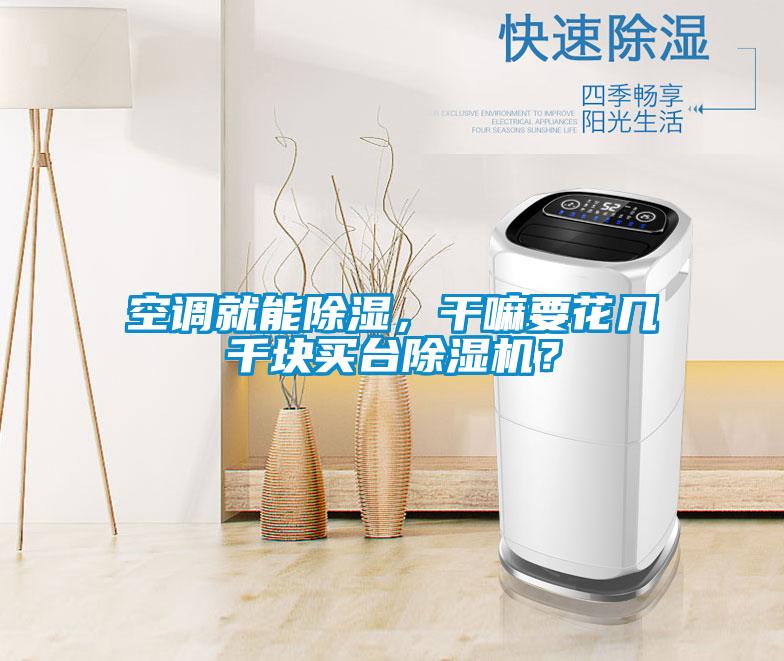 空調就能除濕，干嘛要花幾千塊買臺除濕機？