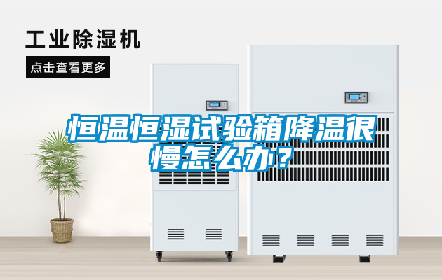 恒溫恒濕試驗箱降溫很慢怎么辦？